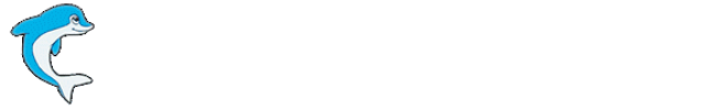 海上観光タクシー